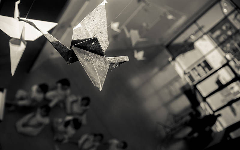 Mouvements ASBL / Des ailes qui libres dansent